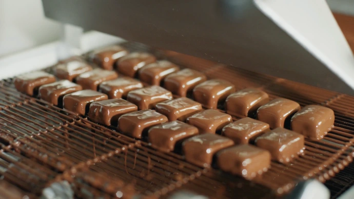 Pralinés enrobés de chocolat