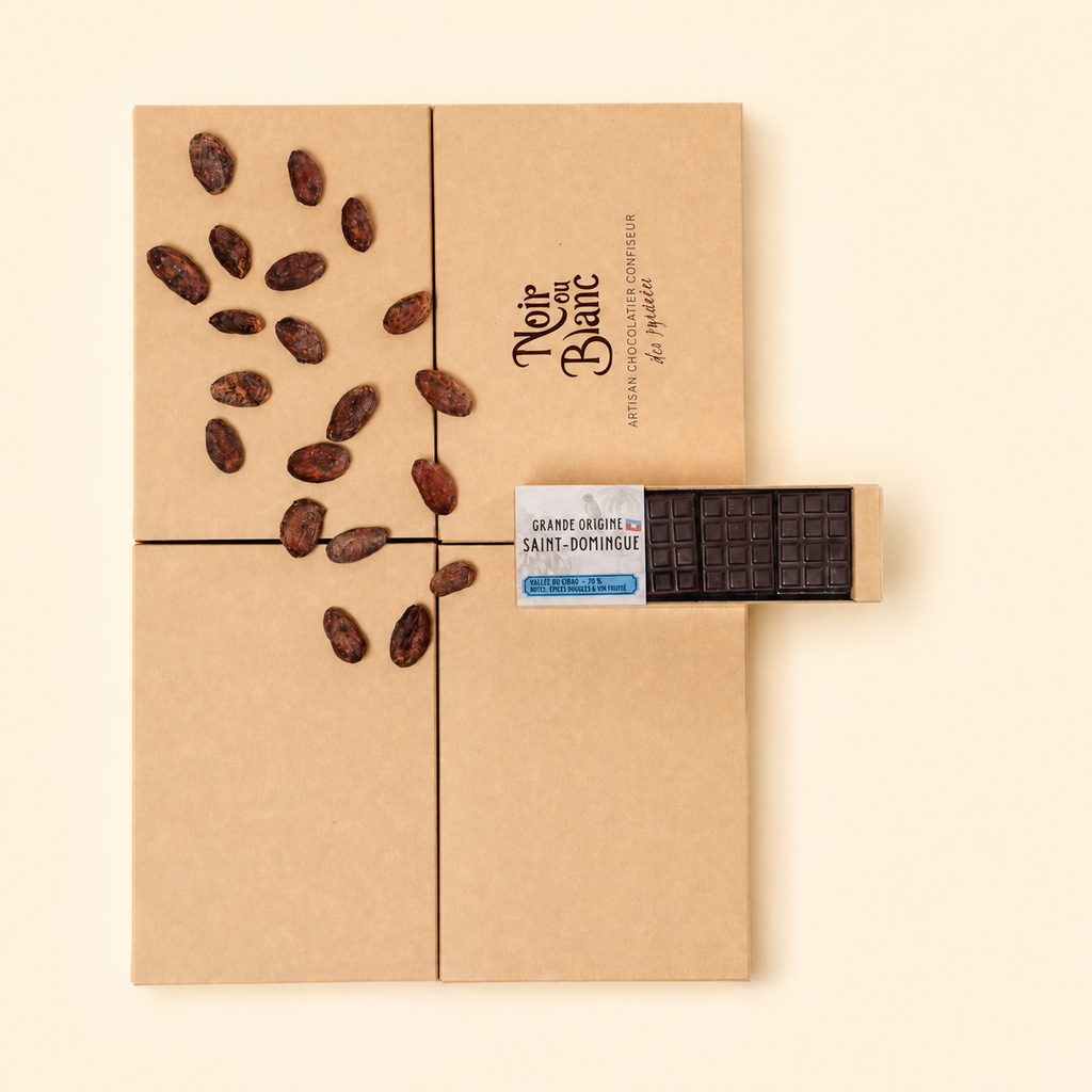 Mini tablette St-Domingue 70%