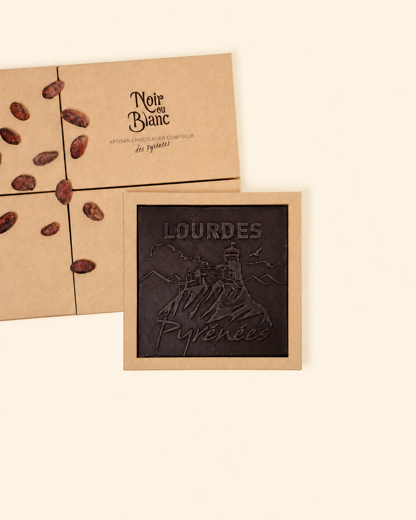 Carte postale Château de Lourdes - Chocolat noir