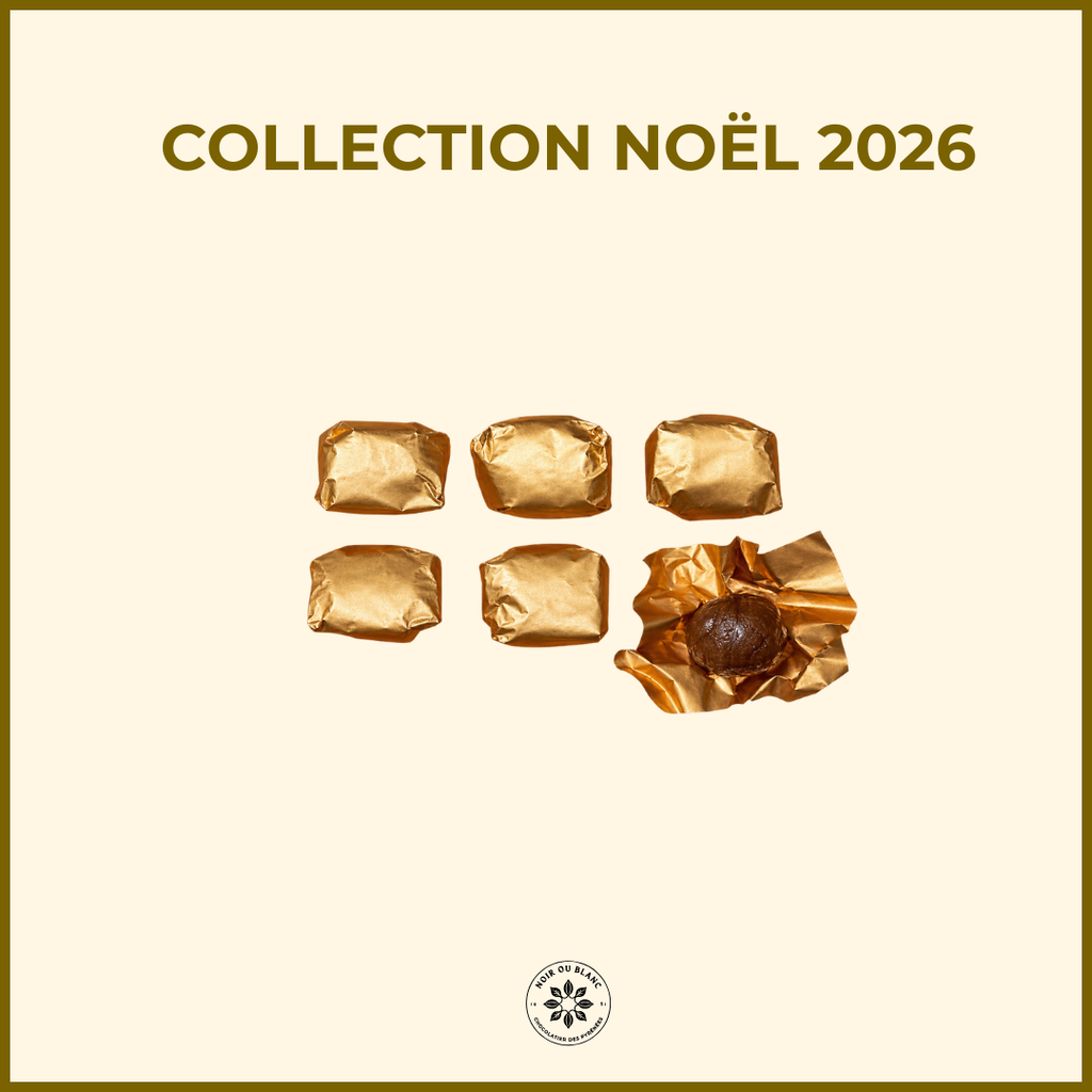 Les marrons glacés (x10)