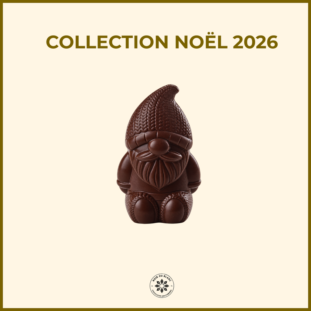 Le lutin chocolat noir